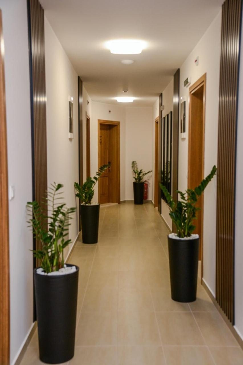 Mini Hotel Riverlux Apartments Bačka Palanka 外观 照片